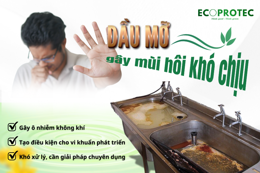 bể tách dầu mỡ